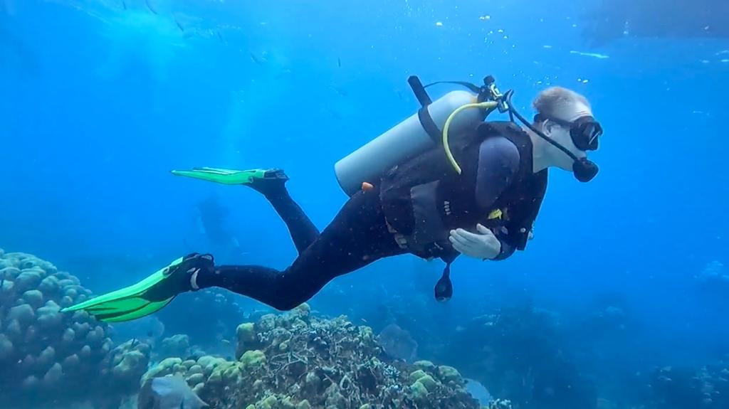 Alt forgo-diving-bayahibe-reef.jpg