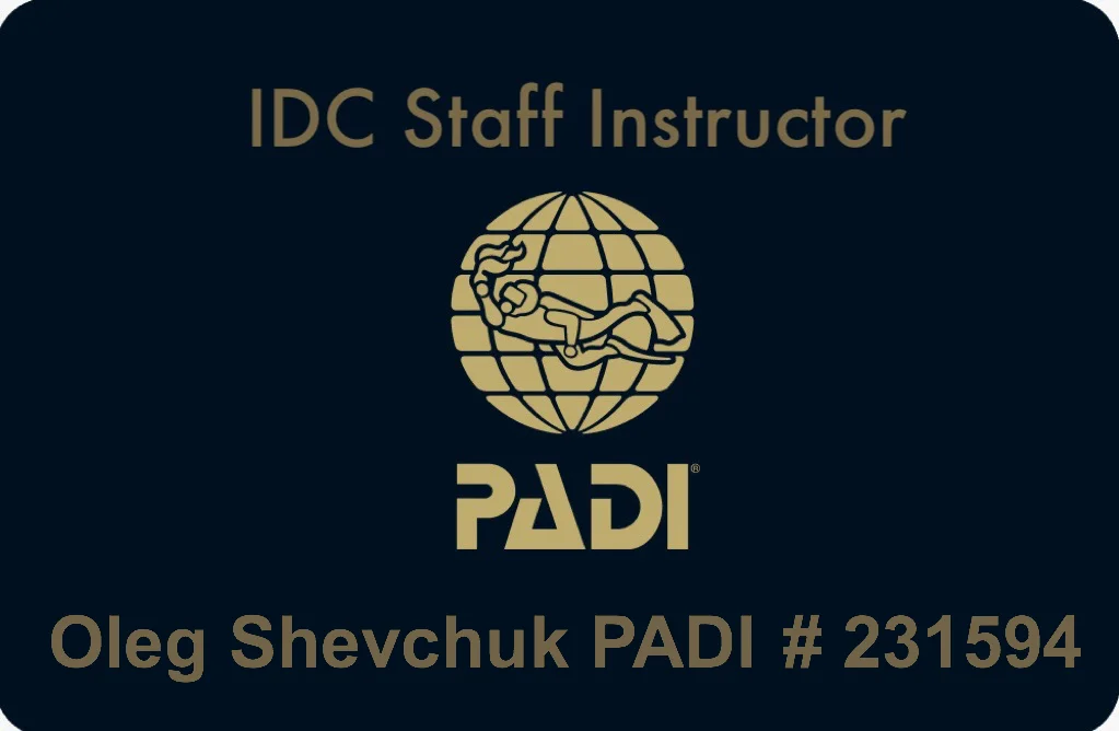 IDC Staff Instructor