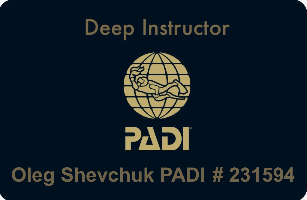 Deep Instructor