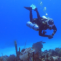 Why we choose sidemount diving