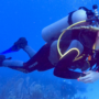 Scuba diving is an exciting adventure!