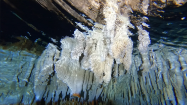 Venturing into the Abyss: The Enigmatic Beauty of Underwater Caves Unveiled