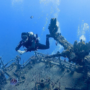 Скуба-дайвинг: Полное погружение в удивительный подводный мир