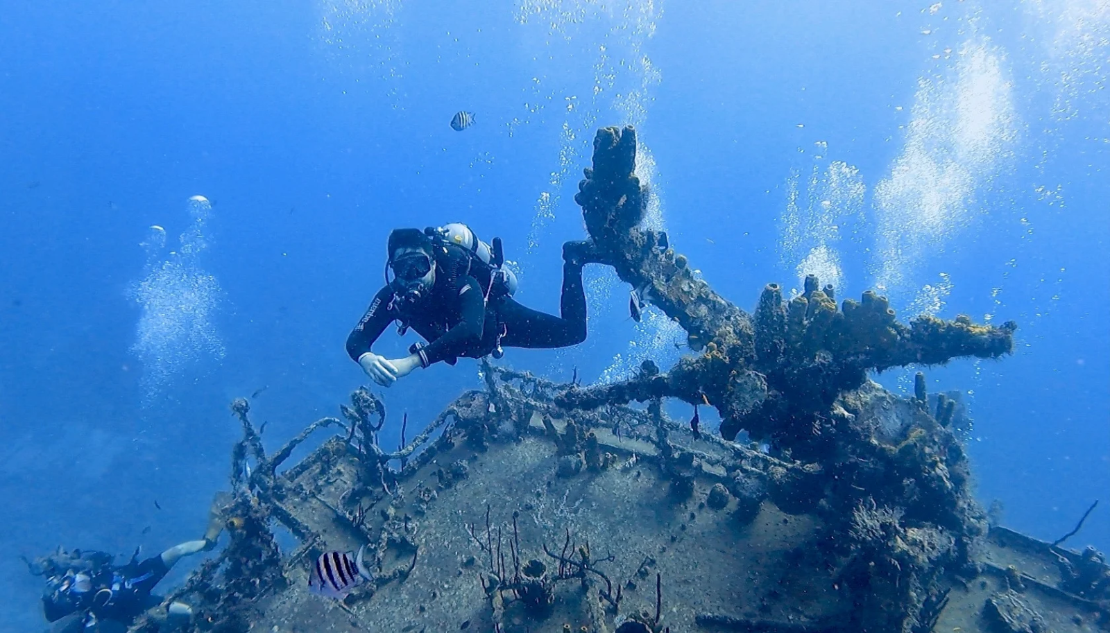 Scuba diving in Bayahibe. St. George wreck ship